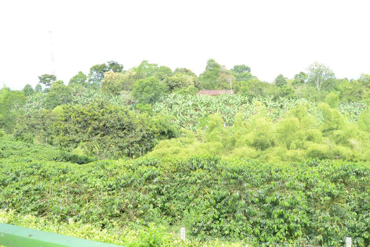 Finca Hotel Villa Soledad Quimbaya Kültér fotó